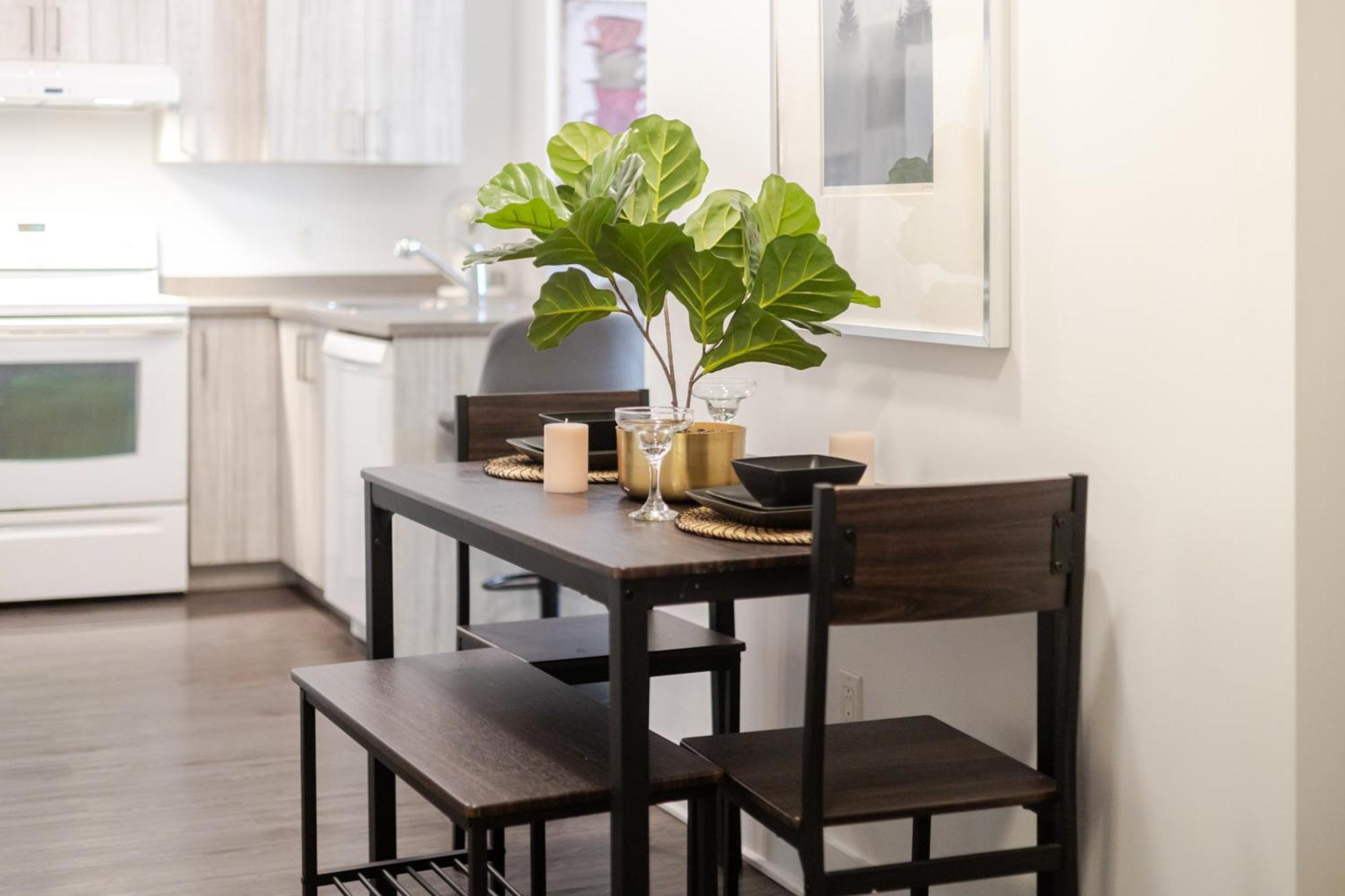 Wonderful 4 Bedroom In The Heart Of Downtown Montreal